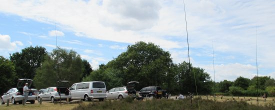 Galleywood Common 06 July 2014