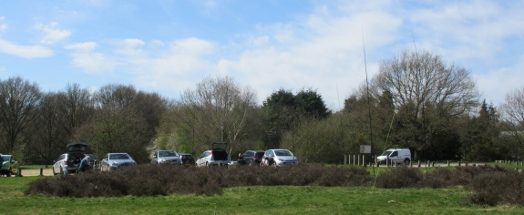 Essex Hams at Galleywood Common 12 April 2015