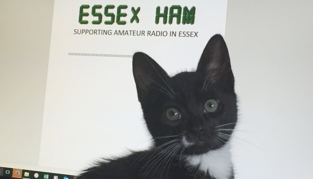 Essex Ham Shack Kitten Video